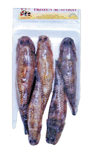 Sand Goby Fish