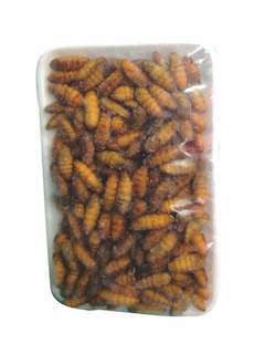 Chrysalis Nhong Dong